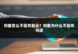 刘备怎么不喜欢赵云？刘备为什么不喜欢马谡