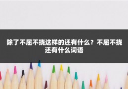 除了不屈不挠这样的还有什么？不屈不挠还有什么词语