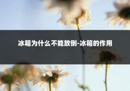 冰箱为什么不能放倒-冰箱的作用