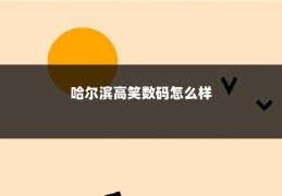 哈尔滨高笑数码怎么样