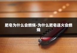 肥皂为什么会燃烧-为什么肥皂遇火会燃烧
