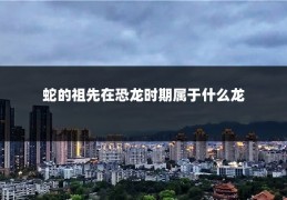 蛇的祖先在恐龙时期属于什么龙