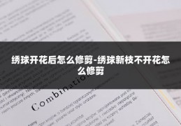 绣球开花后怎么修剪-绣球新枝不开花怎么修剪