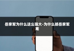 岳家军为什么这么强大-为什么撼岳家军难