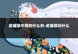 武媚娘中用的什么刑-武媚娘叫什么