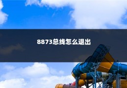 8873总线怎么退出