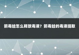 箭毒蛙怎么释放毒液?箭毒蛙的毒液提取