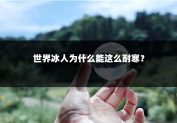 世界冰人为什么能这么耐寒?