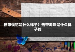 热带馍蛇是什么样子？热带海螺是什么样子的