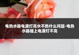 电热水器电源灯亮水不热什么问题-电热水器插上电源灯不亮