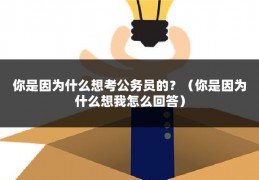 你是因为什么想考公务员的？（你是因为什么想我怎么回答）