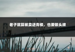 老子就算被卖进青楼，也要做头牌