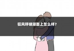 狂风呼啸湖面上怎么样?