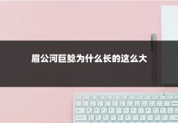 眉公河巨鲶为什么长的这么大