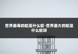 世界最毒的蛇是什么蛇-世界最大的蛇是什么蛇呀