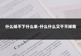 什么掉不下什么来-什么什么又干不掉我