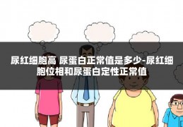 尿红细胞高 尿蛋白正常值是多少-尿红细胞位相和尿蛋白定性正常值