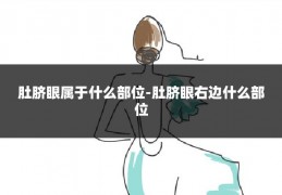 肚脐眼属于什么部位-肚脐眼右边什么部位