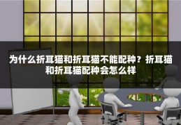 为什么折耳猫和折耳猫不能配种？折耳猫和折耳猫配种会怎么样