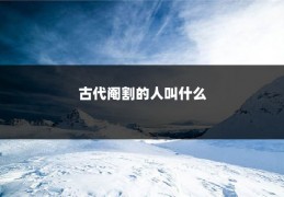 古代阉割的人叫什么