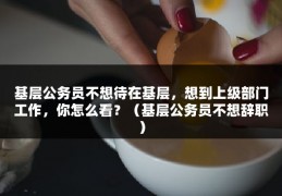 基层公务员不想待在基层，想到上级部门工作，你怎么看？（基层公务员不想辞职）