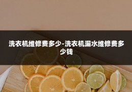 洗衣机维修费多少-洗衣机漏水维修费多少钱
