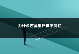 为什么古墓里尸体不腐烂