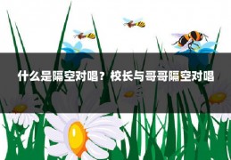 什么是隔空对唱？校长与哥哥隔空对唱