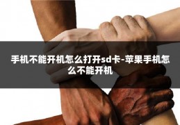 手机不能开机怎么打开sd卡-苹果手机怎么不能开机