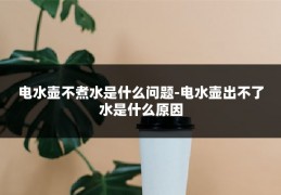 电水壶不煮水是什么问题-电水壶出不了水是什么原因