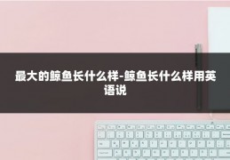最大的鲸鱼长什么样-鲸鱼长什么样用英语说