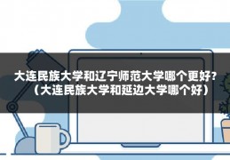 大连民族大学和辽宁师范大学哪个更好？（大连民族大学和延边大学哪个好）