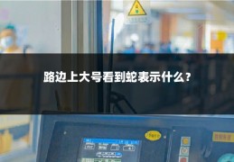 路边上大号看到蛇表示什么？