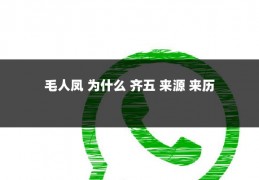 毛人凤 为什么 齐五 来源 来历