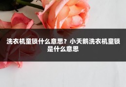 洗衣机童锁什么意思?小天鹅洗衣机童锁是什么意思
