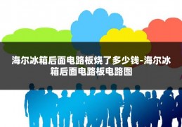 海尔冰箱后面电路板烧了多少钱-海尔冰箱后面电路板电路图