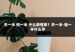 天一半 何一半 什么闻怪事?天一半-地一半什么字