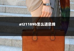 at21189b怎么进总线