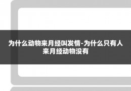 为什么动物来月经叫发情-为什么只有人来月经动物没有