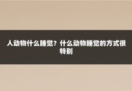 人动物什么睡觉?什么动物睡觉的方式很特别
