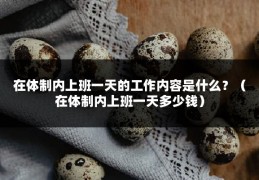 在体制内上班一天的工作内容是什么？（在体制内上班一天多少钱）