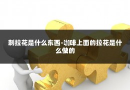 刺拉花是什么东西-咖啡上面的拉花是什么做的