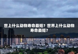世上什么动物寿命最短？世界上什么动物寿命最短？