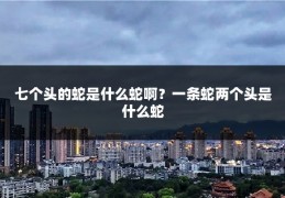 七个头的蛇是什么蛇啊？一条蛇两个头是什么蛇