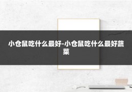 小仓鼠吃什么最好-小仓鼠吃什么最好蔬菜