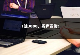 1晚3000，闷声发财！