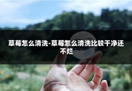 草莓怎么清洗-草莓怎么清洗比较干净还不烂