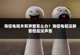 海信电视木有声音怎么办?海信电视没静音但是没声音