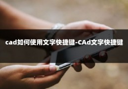 cad如何使用文字快捷键-CAd文字快捷键