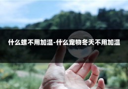 什么螺不用加温-什么宠物冬天不用加温